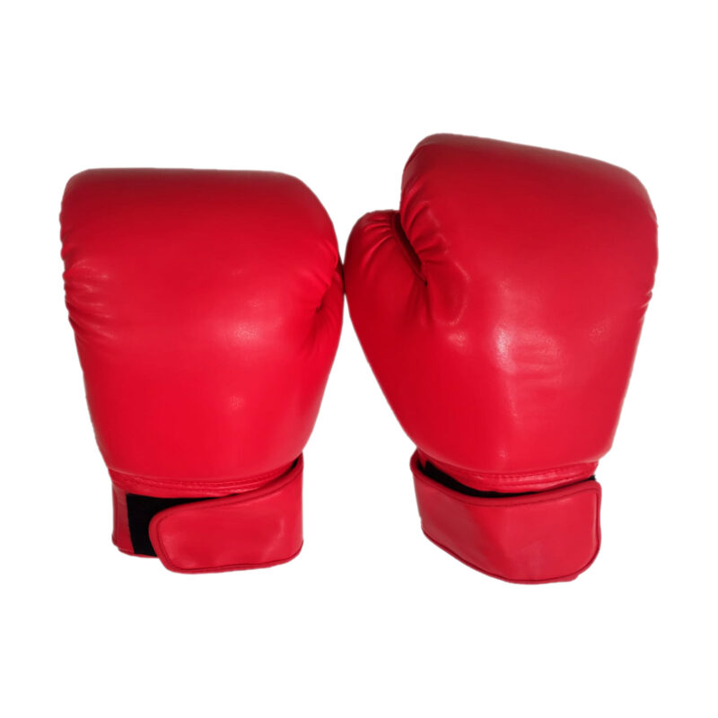 guantes de boxeo 10oz